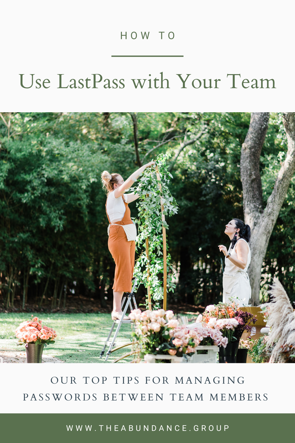 How to Use LastPass with Your Team